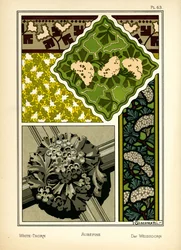 The Whitethorn